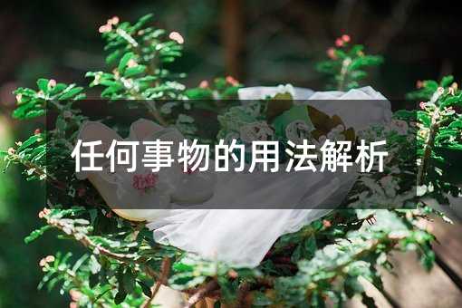 任何事物的用法解析