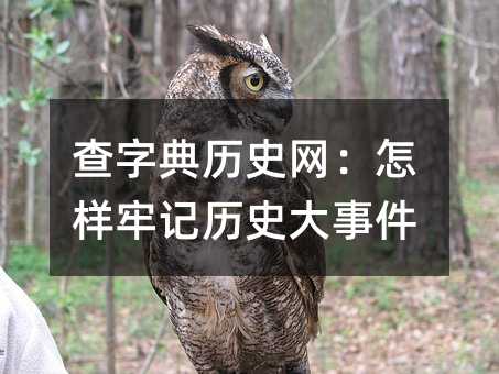 查字典历史网:怎样牢记历史大事件