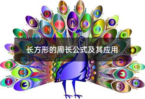 长方形的周长公式及其应用