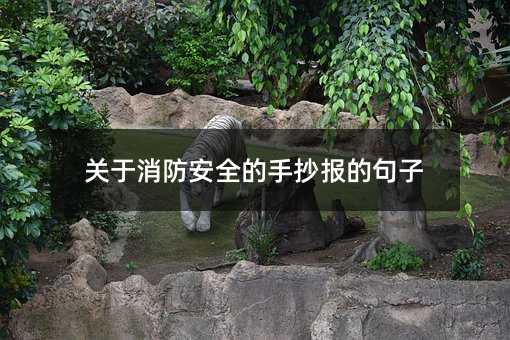 关于消防安全的手抄报的句子