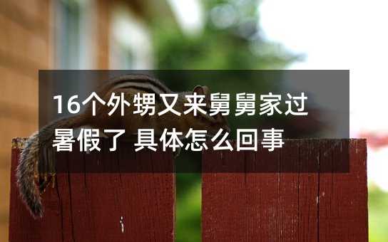 16个外甥又来舅舅家过暑假了 具体怎么回事