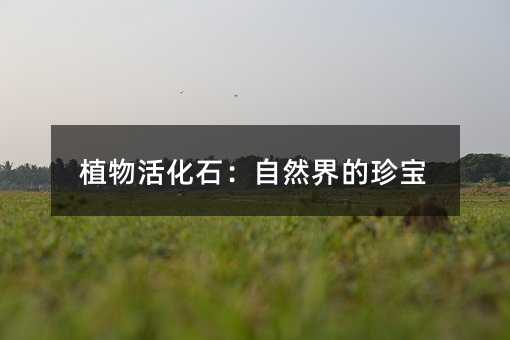 植物活化石:自然界的珍宝