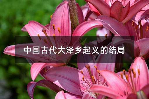 中国古时候大泽乡起义的结局