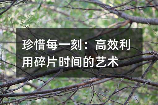 珍惜每一刻:高效利用碎片时间的艺术