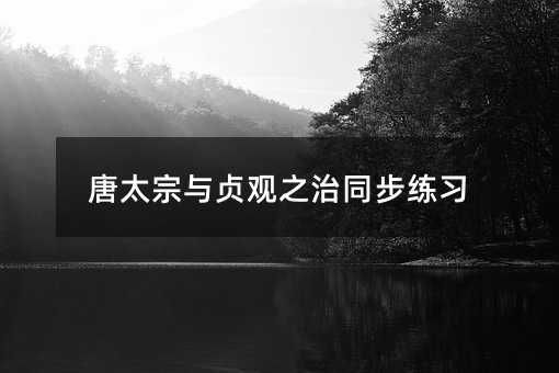 唐太宗与贞观之治同步练习
