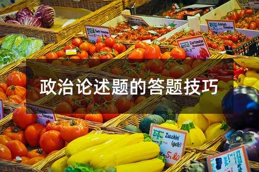 政治论述题的答题技巧