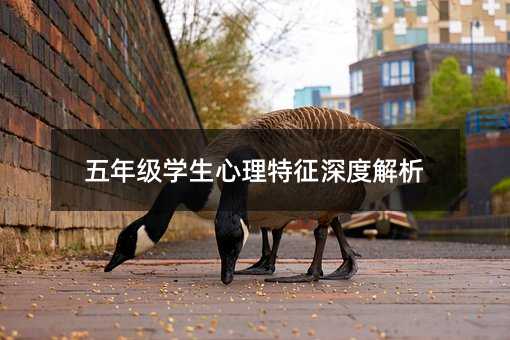 五年级学生心理特征深度解析