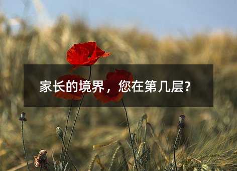 家长的境界,您在第几层?