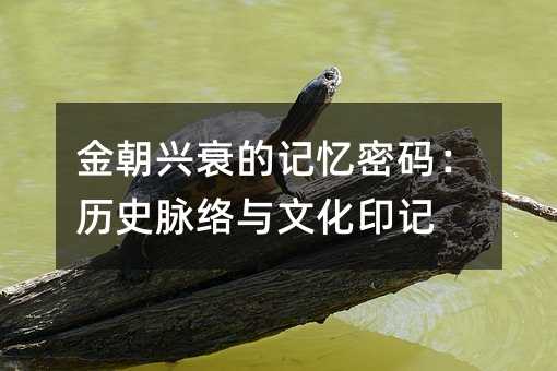 金朝兴衰的记忆密码：历史脉络与文化印记