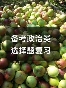 备考政治类选择题复习