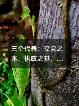 三个代表:立党之本、执政之基、力量之源