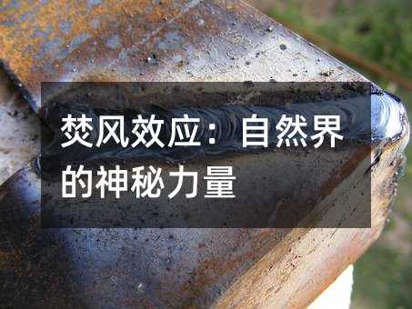 焚风效应:自然界的神秘力量