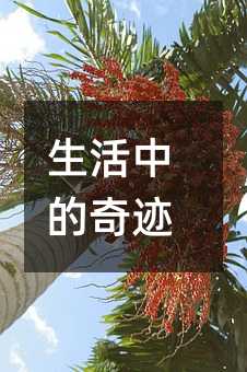 生活中的奇迹