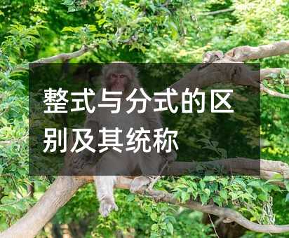 整式与分式的区别及其统称