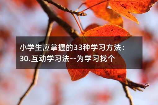 小学生应掌握的33种学习方法:30.互动学习法--为学习找个伴