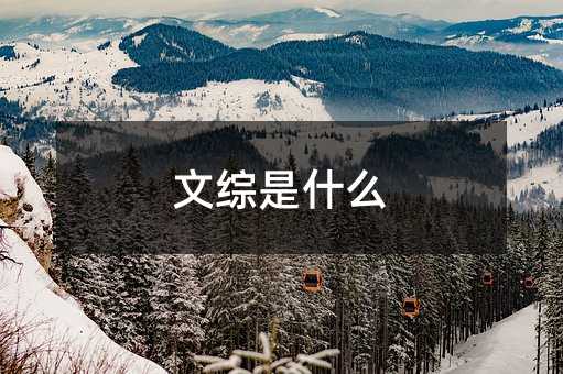 文综是什么