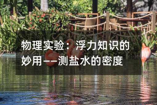 物理实验:浮力知识的妙用——测盐水的密度