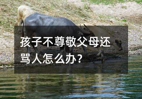 孩子不尊敬父母还骂人怎么办?