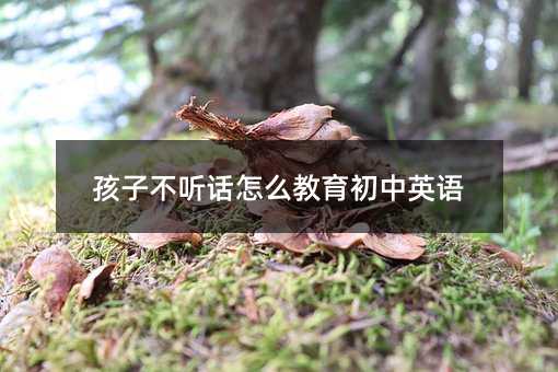 孩子不听话怎么教育初中英语