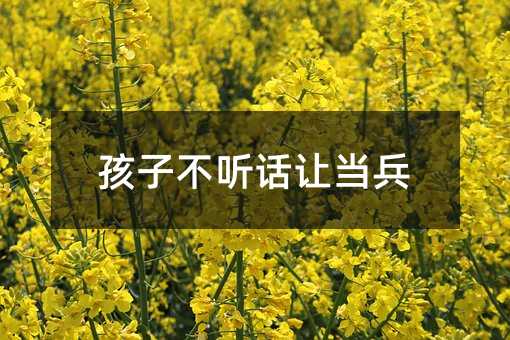 孩子不听话让当兵