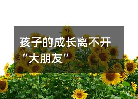 ӵĳɳ벻ѡ