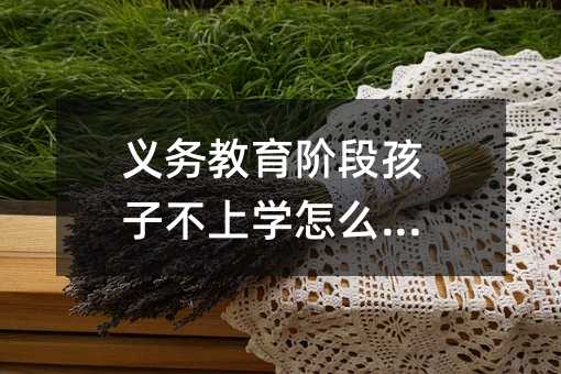 义务教育阶段孩子不上学怎么办?