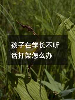 孩子在学长不听话打架怎么办