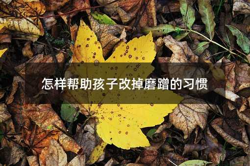 怎样帮助孩子改掉磨蹭的习惯