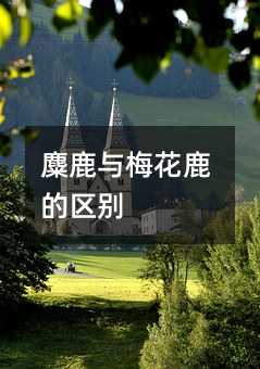 麋鹿与梅花鹿的区别