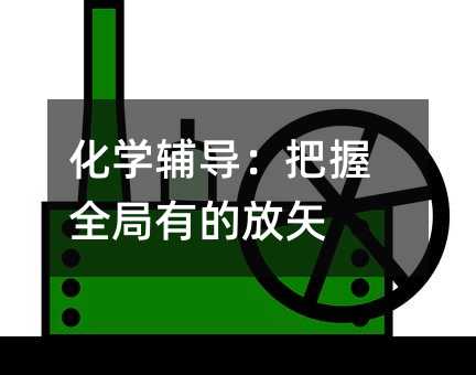 化学辅导:把握全局有的放矢