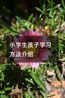 小学生孩子学习方法介绍