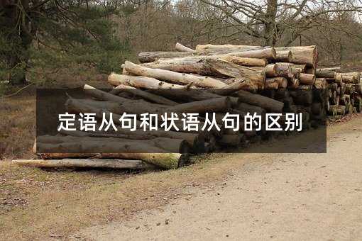 定语从句和状语从句的区别