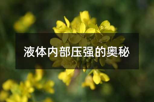 液体内部压强的奥秘