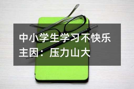 中小学生学习不快乐主因:压力山大