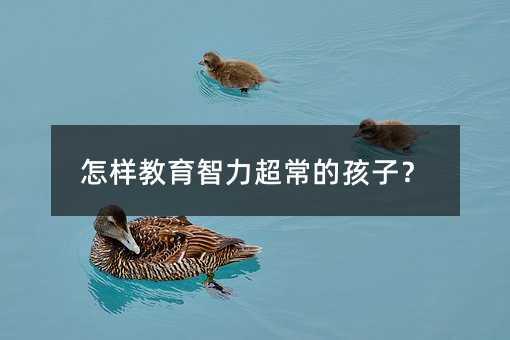 怎样教育智力超常的孩子?