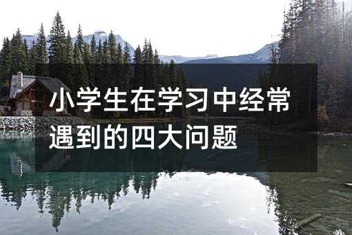 小学生在学习中经常遇到的四大问题