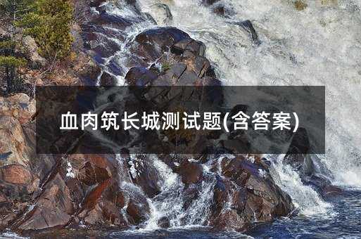 血肉筑长城测试题(含答案)