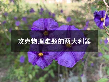攻克物理难点的两大利器