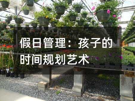 假日管理:孩子的时间规划艺术