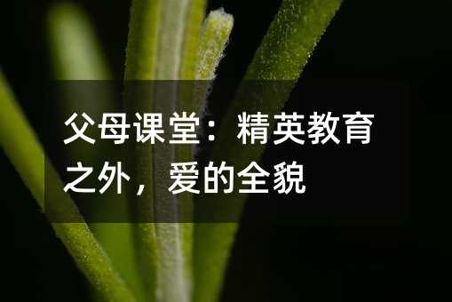 父母课堂:精英教育之外,爱的全貌