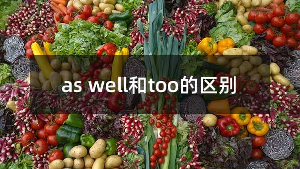 as well和too的区别
