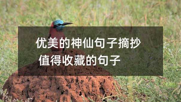 优美的神仙句子摘抄 值得收藏的句子