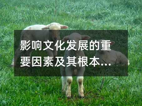 影响文化发展的重要因素及其根本动力