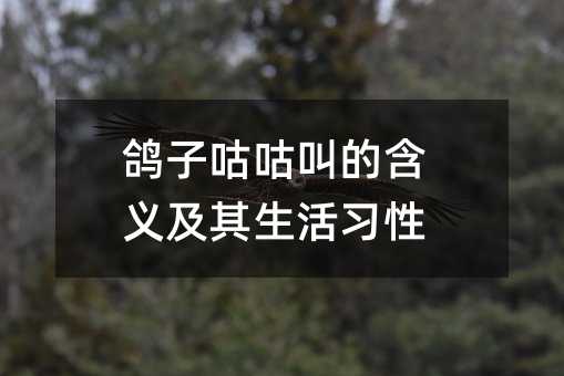 ӹеĺ弰ϰ