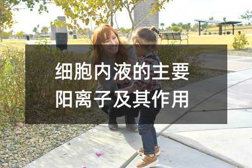 ϸҺҪӼ