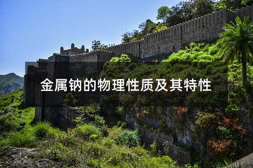 金属钠的物理性质及其特性
