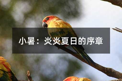 小暑:炎炎夏日的序章