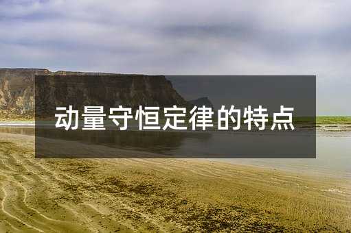 动量守恒定律的特点