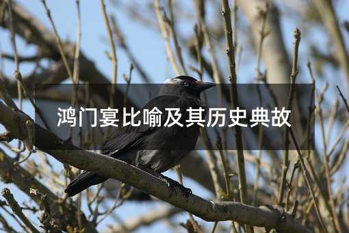 鸿门宴比喻及其历史典故
