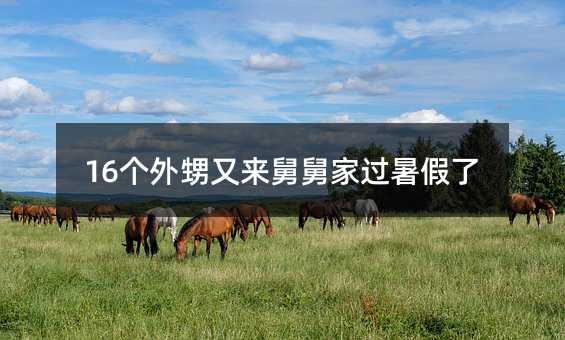 16个外甥又来舅舅家过暑假了